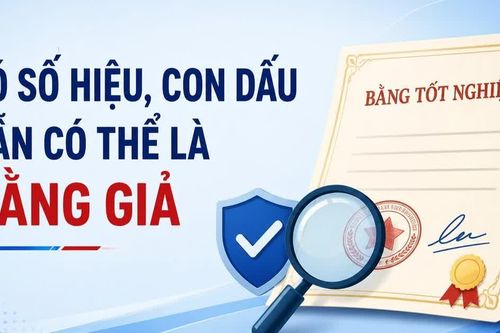 Infographic Có số hiệu, con dấu vẫn có thể là bằng giả: 5 bước kiểm tra để tránh rủi ro