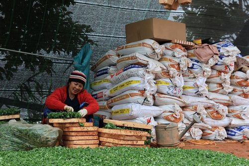 Gỡ nút thắt hạ tầng, nối dài chuỗi giá trị nông sản