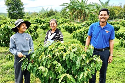 Thanh niên mạnh dạn khởi nghiệp bằng những mô hình mới