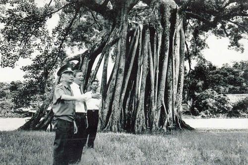 Vị tướng của Nhân dân