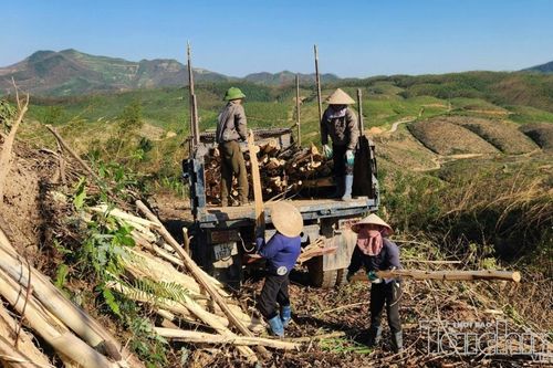 Quảng Ninh tạo thêm động lực phát triển từ vùng cao, biên giới
