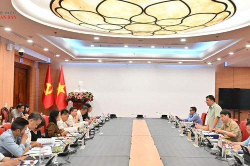 Thẩm tra sơ bộ dự án Luật sửa đổi, bổ sung 7 luật trong lĩnh vực văn hóa, thể thao, du lịch: Cần đánh giá tác động đầy đủ các chính sách mới