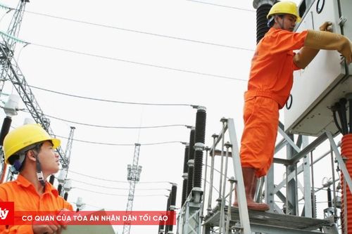 Bảo đảm điện, hàng hóa thiết yếu sau bão số 4