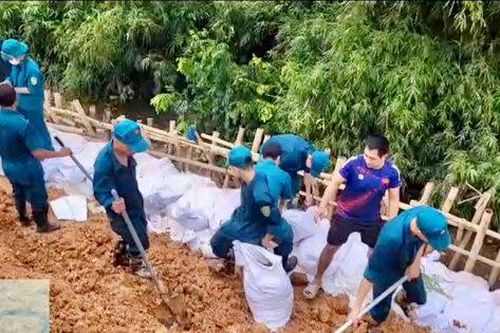 Khắc phục kịp thời sự cố đê tả Cà Lồ tại xã Đa Phúc