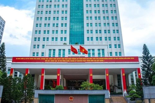 Rà soát, sắp xếp, bố trí nhân sự; sắp xếp đơn vị sự nghiệp, cơ sở giáo dục, y tế, doanh nghiệp