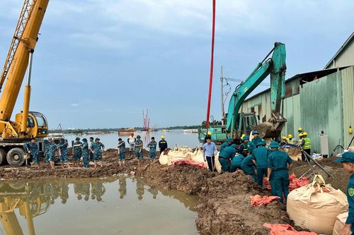 Trung đoàn 236 (Sư đoàn 361, Quân chủng Phòng không - Không quân) tham gia đắp đê ngăn lũ