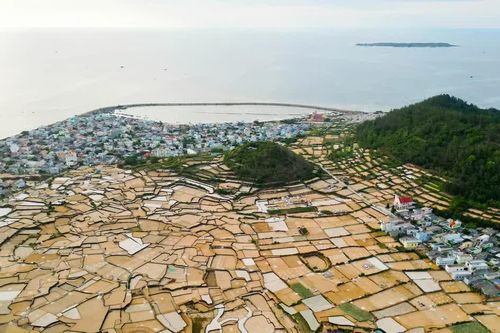 Mùa hành, tỏi trên miệng núi lửa cổ