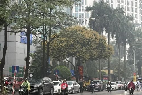 Dự báo thời tiết ngày 27/8: Nam Bộ gia tăng mưa diện rộng