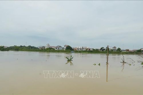 Bắc Ninh rút lệnh báo động I trên sông Lục Nam