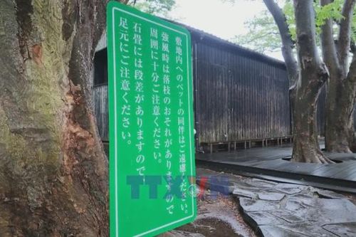 Khám phá 'vựa gạo' trăm năm của Nhật Bản