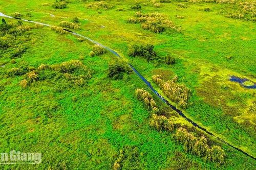 Khám phá động, thực vật quý hiếm ở U Minh Thượng