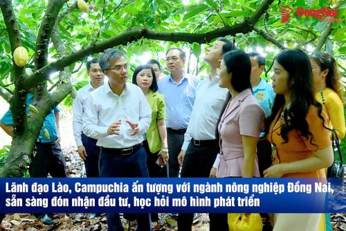 [Video] Lãnh đạo Lào, Campuchia ấn tượng với ngành nông nghiệp Đồng Nai, sẵn sàng đón nhận đầu tư, học hỏi mô hình phát triển