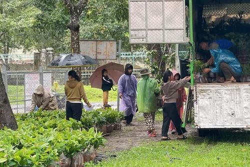Đak Sơmei hỗ trợ giống cây trồng, vật tư nông nghiệp cho người dân sản xuất