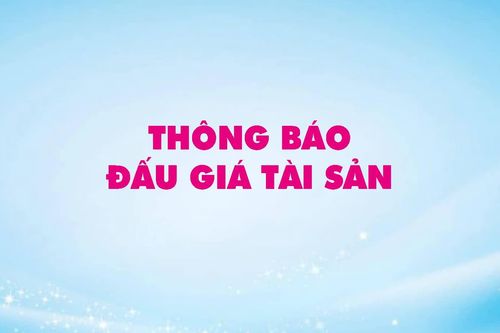 Công ty Đấu giá Hợp danh Vạn Thiên Phước thông báo đấu giá tài sản