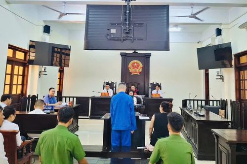 Tuyên án 8 năm 6 tháng tù đối với 'đạo chích' mang quốc tịch Trung Quốc