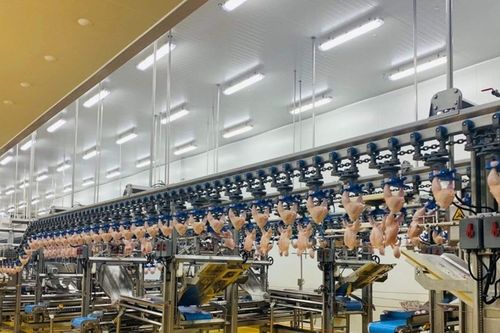 Thịt gà chế biến của Việt Nam chính thức xuất khẩu sang Hàn Quốc