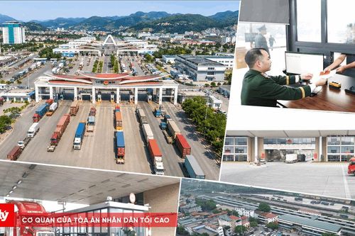 Lào Cai: Bảo đảm kiểm soát an toàn thực phẩm nhưng không làm chậm thông quan