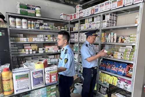 TP.HCM siết quản lý sản xuất, kinh doanh và sử dụng thuốc thú y
