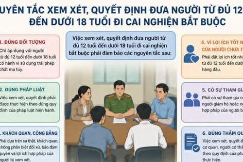 Nguyên tắc quyết định đưa người từ đủ 12 tuổi đến dưới 18 tuổi cai nghiện bắt buộc