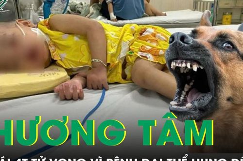 Bé gái 4 tuổi ra đi thương tâm vì bệnh dại thể hung dữ