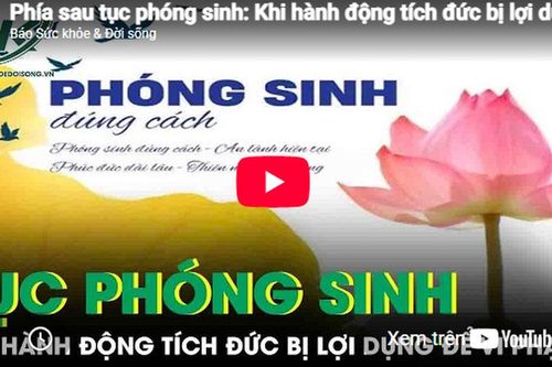 Phía sau tục phóng sinh: Khi hành động tích đức bị lợi dụng làm 'vỏ bọc' cho vi phạm