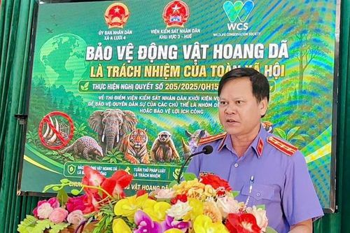 VKSND khu vực 3 - TP Huế tuyên truyền pháp luật và Nghị quyết số 205 của Quốc Hội