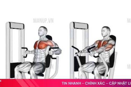 5 bài tập cho nam giúp phát triển thân trên cân đối