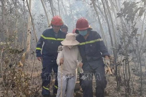 Giải cứu hai người mắc kẹt trên đỉnh núi trong vụ cháy rừng ở Quy Nhơn