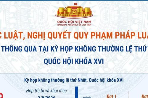 Các luật, nghị quyết quy phạm pháp luật được thông qua tại Kỳ họp không thường lệ thứ Nhất, Quốc hội khóa XVI
