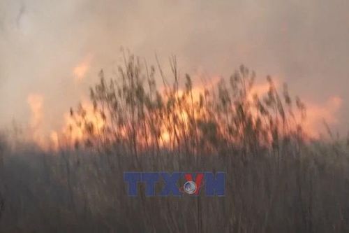 Thời tiết cực đoan buộc châu Âu phải tăng nhiều chi phí