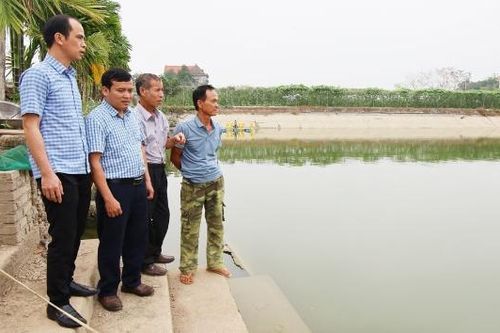 Bắc Ninh tăng cường ứng dụng kỹ thuật trong nuôi thủy sản