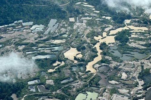 Những 'dòng sông bay' khổng lồ điều tiết khí hậu của Amazon