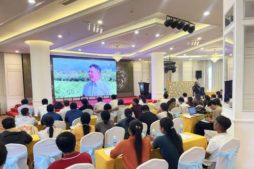 Hơn 80 đại biểu tìm hiểu về thực trạng, giải pháp canh tác cây sầu riêng theo hướng bền vững
