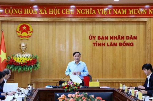 Không hợp thức hóa tồn tại, vi phạm dự án đầu tư ngoài ngân sách