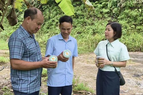 Hỗ trợ người dân xây dựng mô hình phát triển kinh tế mới