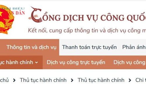 TP. Hồ Chí Minh: Thực hiện khai sinh, khai tử và các thủ tục liên quan trên môi trường số