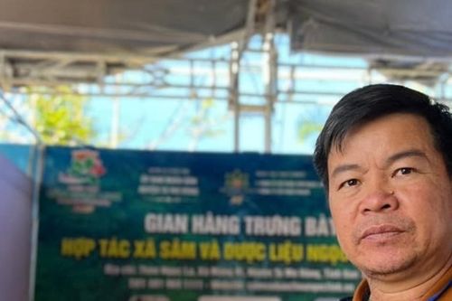 Trị nạn sâm Ngọc Linh giả: Lấy sở hữu trí tuệ làm 'hộ chiếu' cho HTX