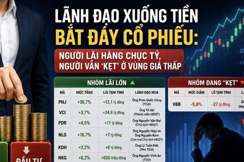 Lãnh đạo bắt đáy cổ phiếu: Người lãi hàng chục tỷ, người vẫn 'kẹt' ở vùng giá thấp