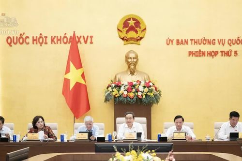 Thúc đẩy môi trường đầu tư kinh doanh, cạnh tranh lành mạnh