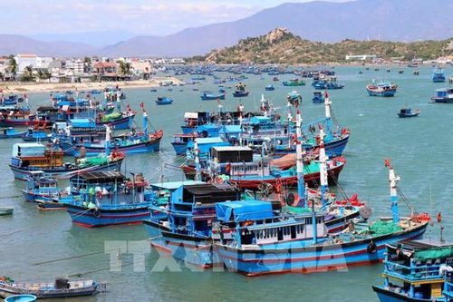 Ngân hàng ưu tiên vốn cho phát triển kinh tế biển