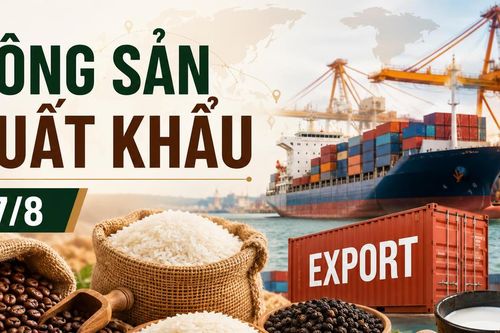 Nông sản xuất khẩu ngày 27/8: Arabica giảm gần 4%, gạo và hồ tiêu Việt Nam giữ giá