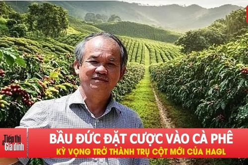 Bầu Đức đặt cược vào cà phê, kỳ vọng trở thành trụ cột mới của HAGL