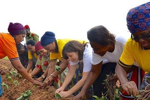 Sức khỏe đất và bài toán an ninh lương thực