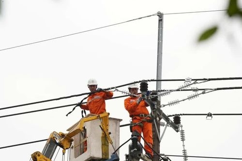 Thành phố Hồ Chí Minh: Cấp điện an toàn, ổn định tuyệt đối cho lễ Quốc khánh 2/9