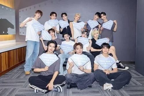 Giải pháp của SEVENTEEN trong giai đoạn gián đoạn vì nghĩa vụ quân sự