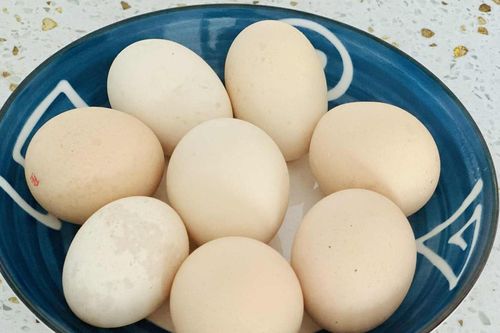 Chuyên gia an toàn thực phẩm giải đáp có nên rửa trứng trước khi nấu