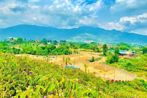 Đất lấn, chiếm có được trừ vào hạn mức khi tính tiền sử dụng đất?