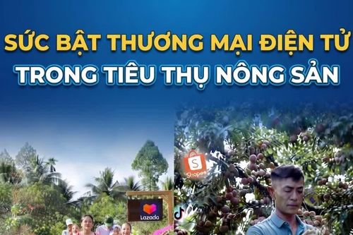 Sức bật thương mại điện tử trong tiêu thụ nông sản