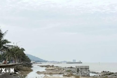 Thanh Hóa: Đầu tư 430 tỷ đồng gia cố kè biển, bảo vệ khu du lịch Hải Tiến