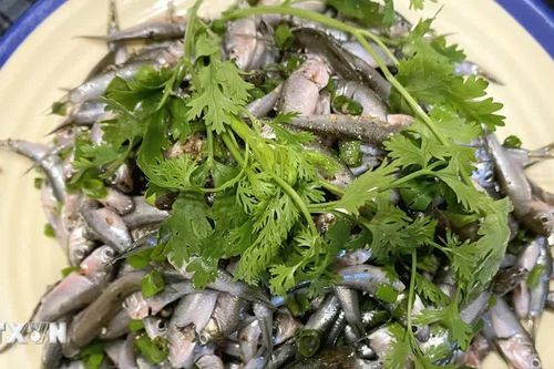 Khai thác 'lộc trời', biến giá trị của mùa nước nổi thành sản phẩm du lịch